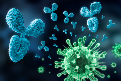 Immunsystem Antikörper und Viren